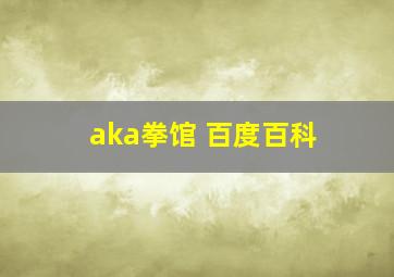 aka拳馆 百度百科